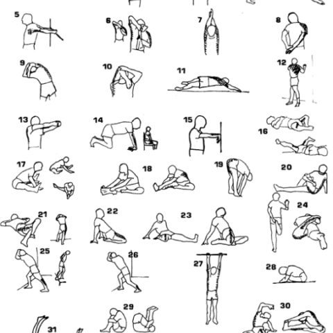 Stretching et souplesse du jeune senior