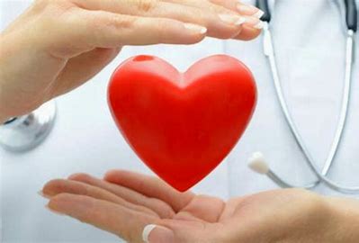 Le cœur des quinquas : prévention, entretien et santé